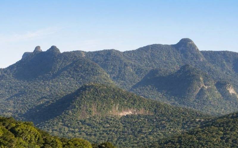 Inea e Vale renovam acordo de cooperação e ampliam investimentos para conservação ambi