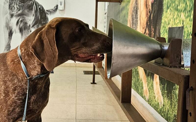 Inovação no combate ao câncer recebe investimento de R$ 500 mil