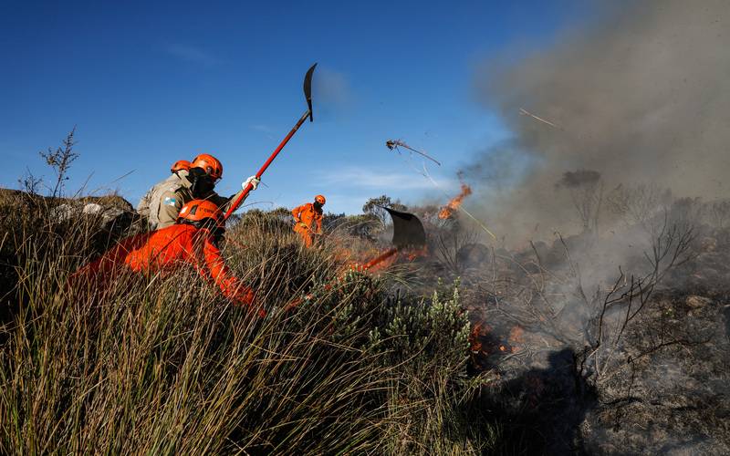 Corpo de Bombeiros alerta para aumento do risco de fogo em vegetação na época da estia