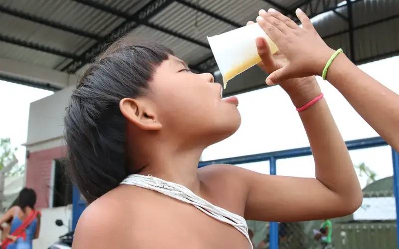 Consumo de alimentos ultraprocessados cresce entre povos tradicionais