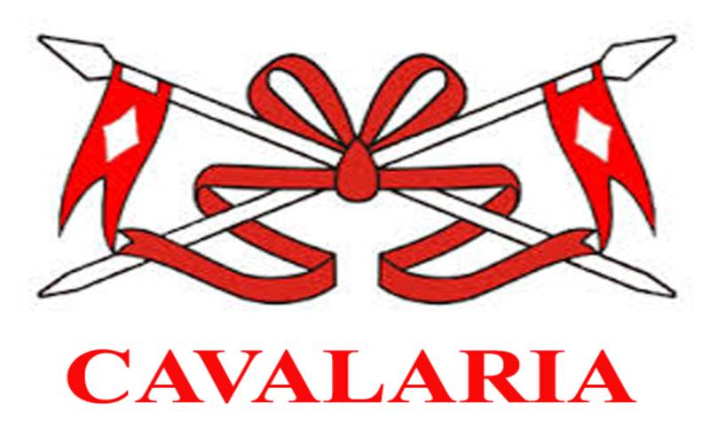 (foto  5 Cavalaria)