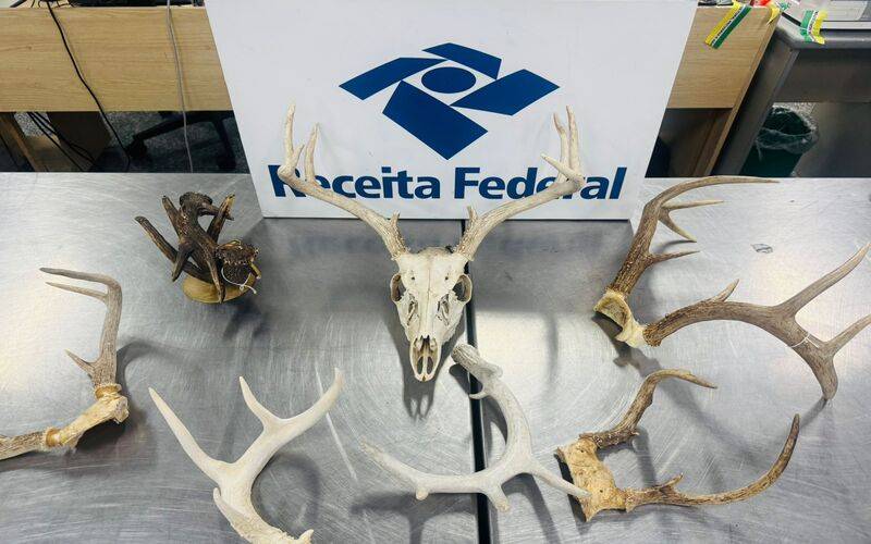 Receita Federal apreende chifres de cervo e parte de arma de caça no Aeroporto do Gale
