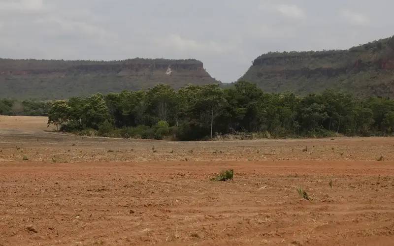 Fragmentos de vegetação nativa cresceram no país 260% em 38 anos