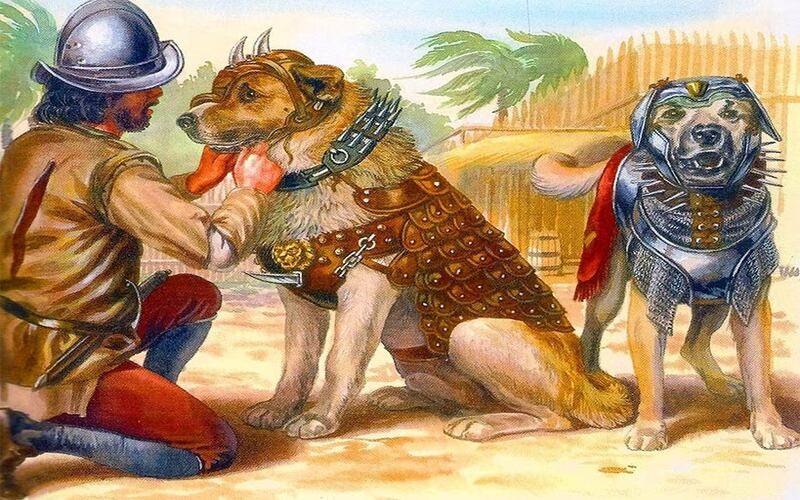 (foto 5  cão de guerra) 