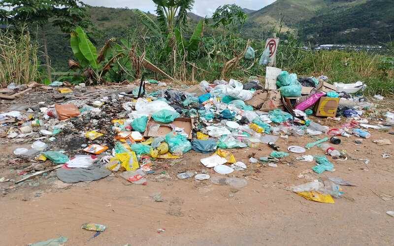 Coleta de lixo: Os males que podem trazer a natureza