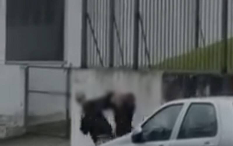 Bingen: briga entre estudantes assusta moradores