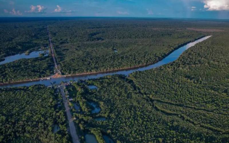 Brasil registra menor área desmatada em seis anos, segundo MapBiomas