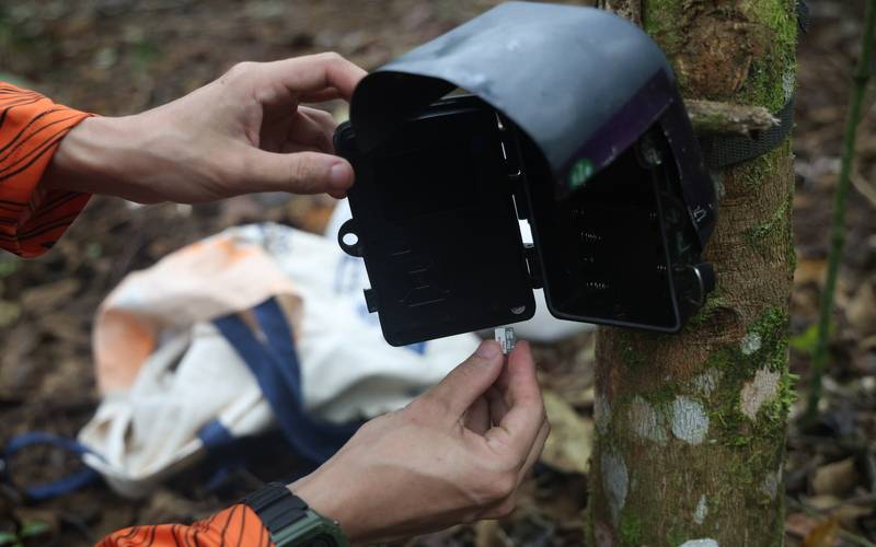 Governo do Estado divulga registros inéditos da fauna em áreas restauradas pelo progra