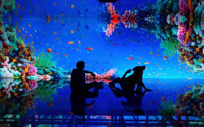 Dias de jogo do Brasil terão meia entrada no AquaRio, Museu de Cera, Mar de Espelhos e