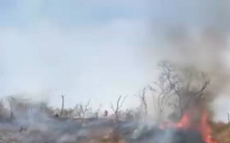 Maior parte de Petrópolis tem risco moderado de incêndio florestal 