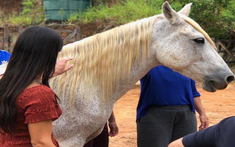 Biodanza & Cavalos une música e vivência com animais em evento no Rancho do Encanto