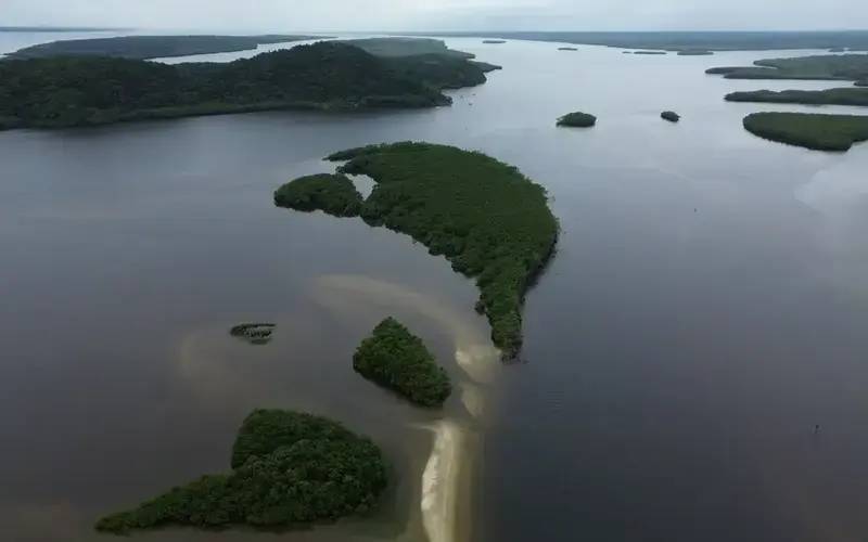 Carbono azul ganha espaço na agenda climática dos oceanos