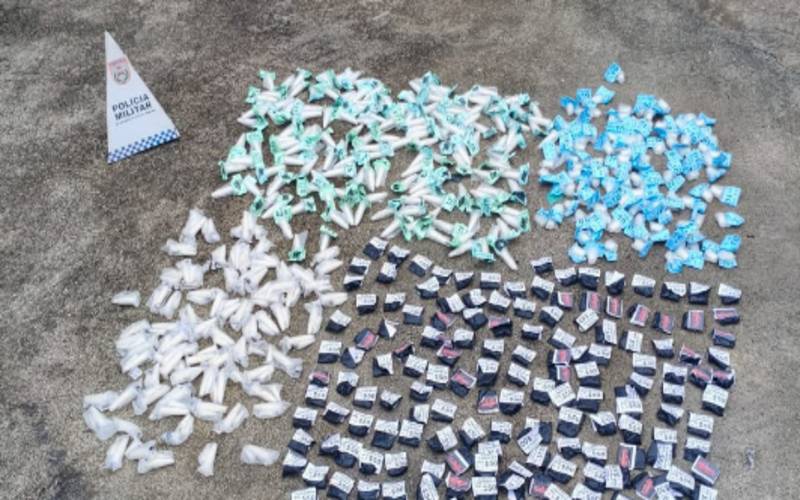 PM apreende mais de 600 pinos de cocaína e causa prejuízo de quase 19 mil ao tráfico