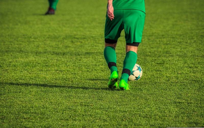 Veja os jogos deste domingo na Copa do Mundo 2026