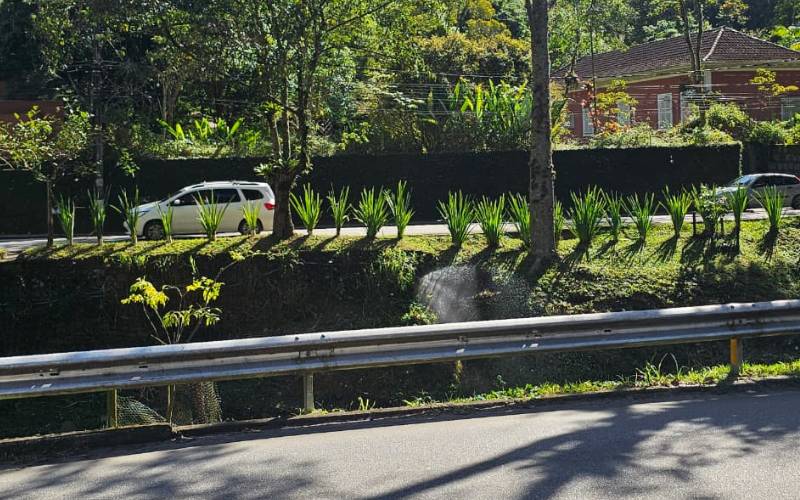 Vazamento de água é registrado na Avenida Barão do Rio Branco, no Centro de Petrópolis