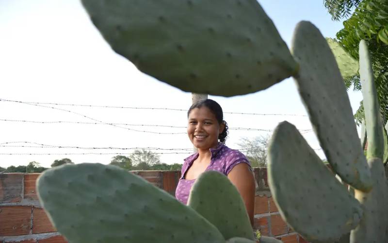Mulheres comandam produção em duas em cada dez propriedades rurais