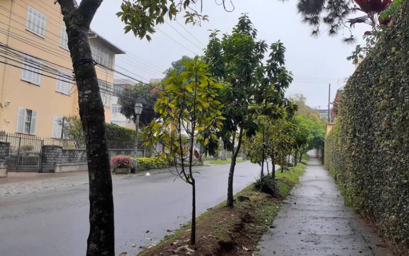 Rua Silva Jardim tem alteração no trânsito neste domingo (19)