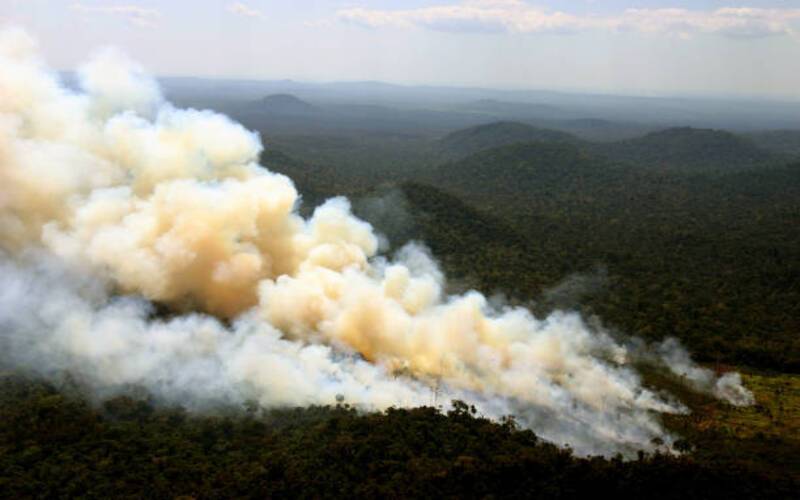 Queda na média histórica de área queimada no Brasil