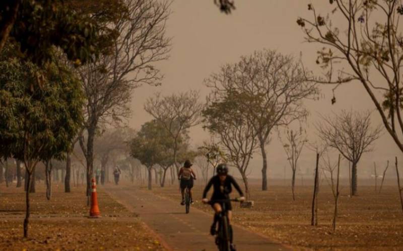 15 estados estão na lista de focos de calor e fumaça. Veja orientações para proteger a
