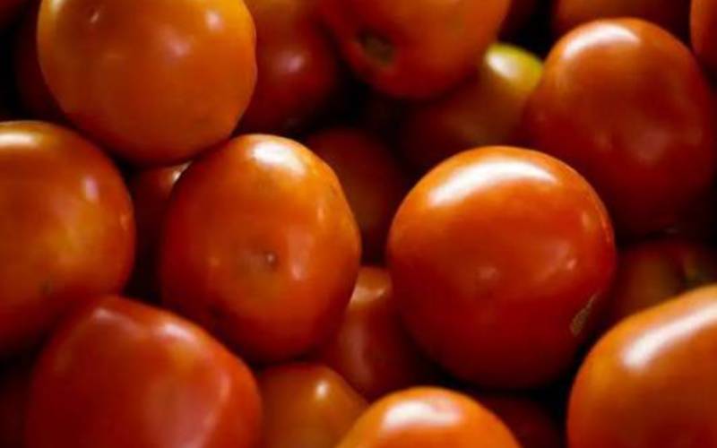 Preço do tomate negociado nas principais Ceasas brasileiras tem queda média de 15,85%