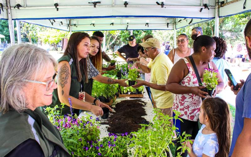 Projeto Mãos na Terra alcança marca de 2.500 mudas plantadas em Petrópolis