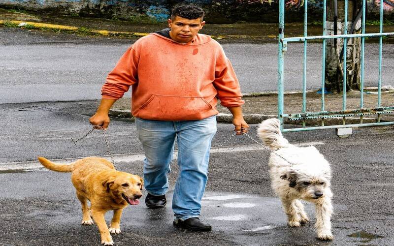 Prefeitura promove terceira etapa de vacinação antirrábica