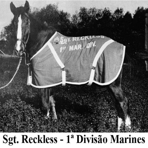 (foto 3 Sgt Reckless)