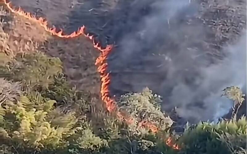 Incêndio atinge área de mata no bairro da Glória em Corrêas