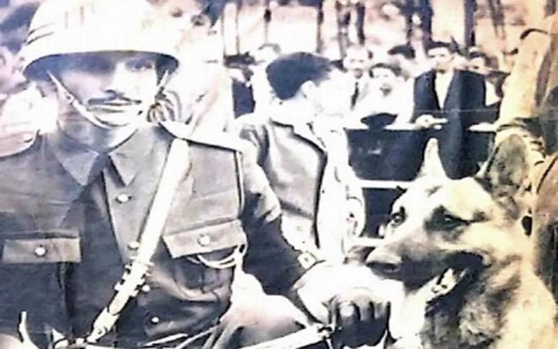 (foto 6 Muniz, Dick) 