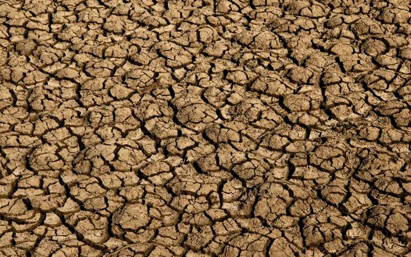 Desertificação já ameaça milhões de brasileiros e pode afetar água e alimentos