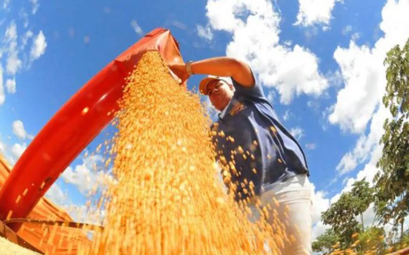 Criadores terão acesso a novos produtos para ração animal pelo Programa de Venda em Ba