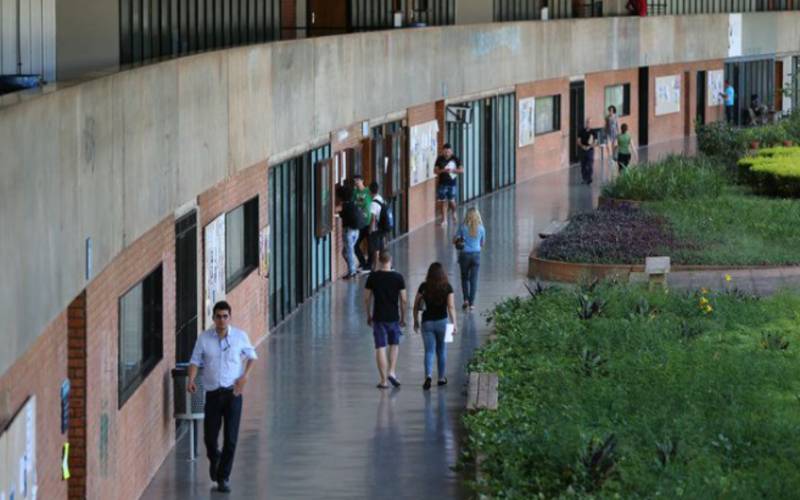 Selo do MEC reconhece instituições de ensino que previnem a violência de gênero