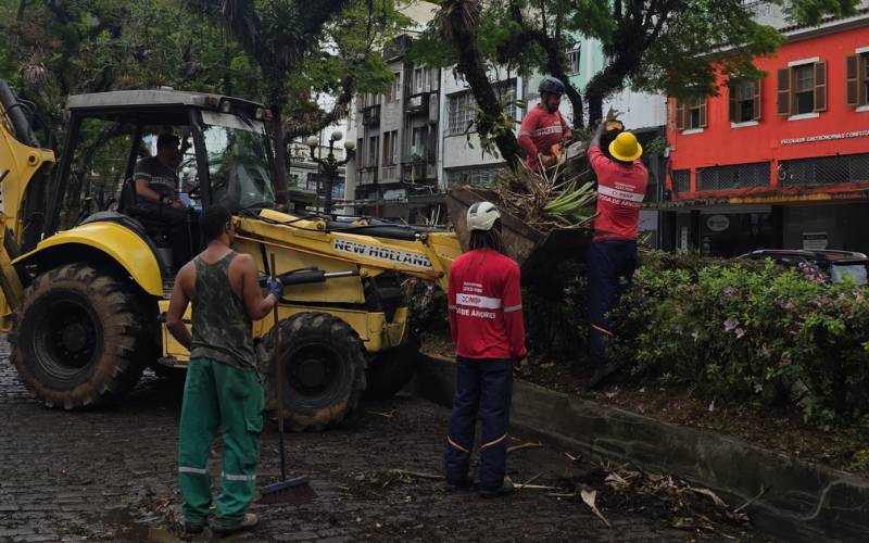 Comdep remove árvore e realiza limpeza da Rua do Imperador em menos de duas horas