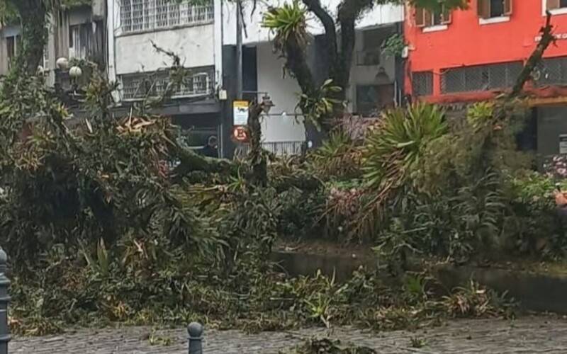Chuva provoca alagamento, queda de barreira, árvore e afeta abastecimento de água em P