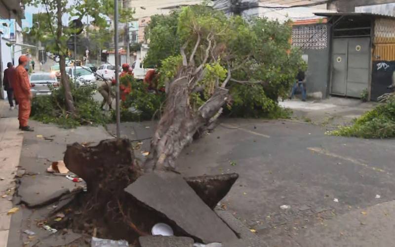 Frente fria provoca ventos de até 71 km/h e derruba árvores no Rio; veja os impactos