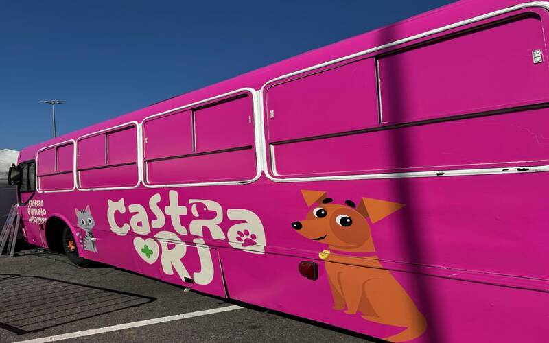 Programa gratuito de castração de cães e gatos