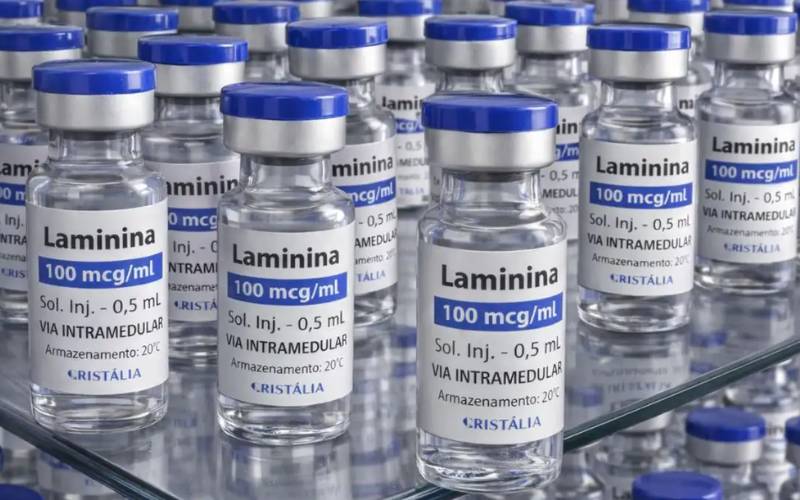 Testes clínicos fase 1 da polilaminina começam este mês