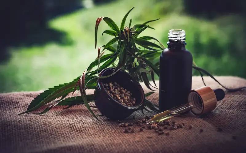 Para associações, normas ainda deixam pontos em aberto sobre cannabis