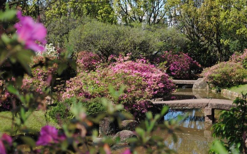 Primavera começa nesta terça-feira (22/9) com influência do El Niño