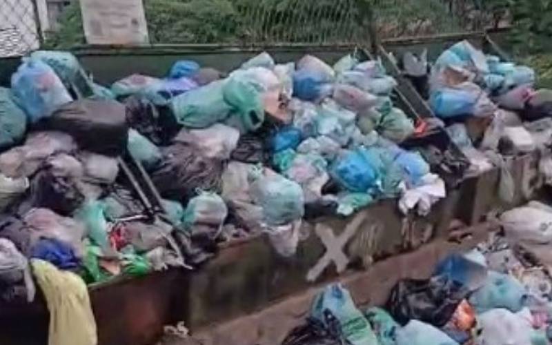 Moradores denunciam acúmulo de lixo em pontos de Petrópolis