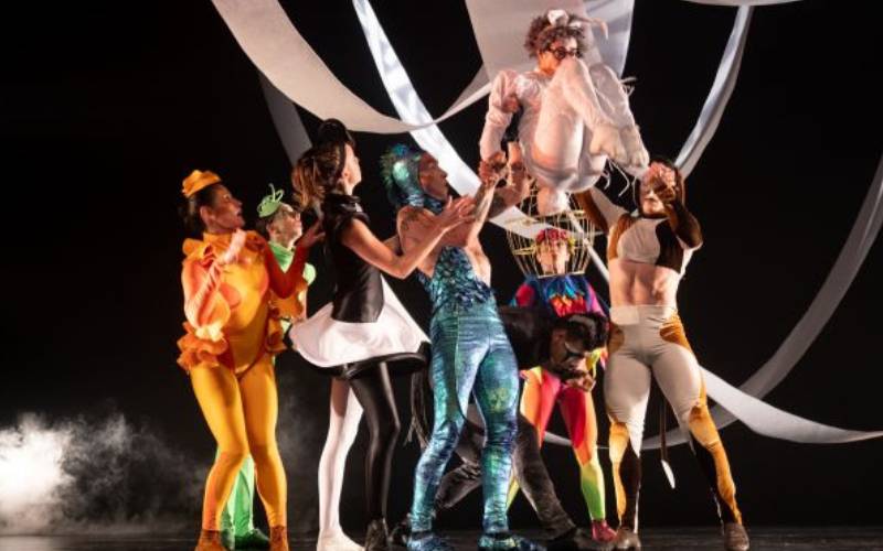 Focus Cia de Dança volta a Petrópolis com “Bichos Dançantes” no Teatro Imperial
