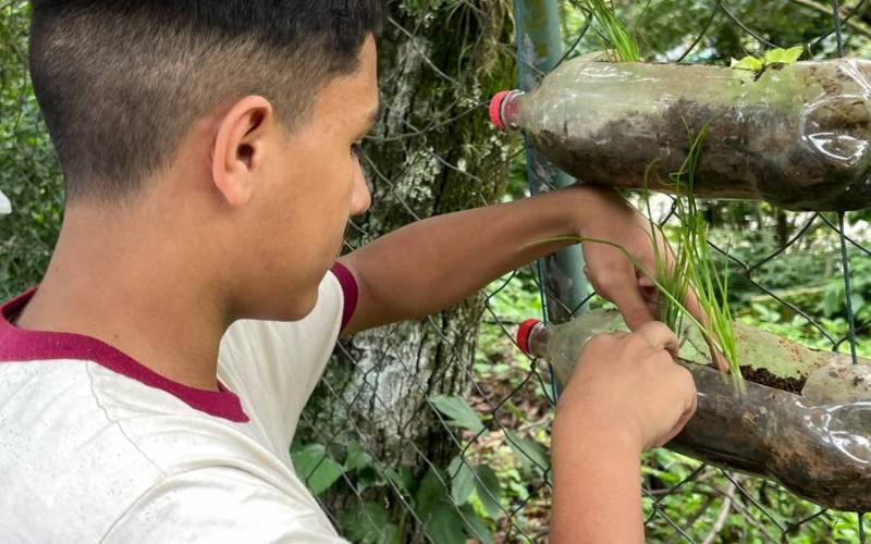 Hortas nas escolas de Petrópolis ensinam estudantes a cuidar do ambiente e cultivar al