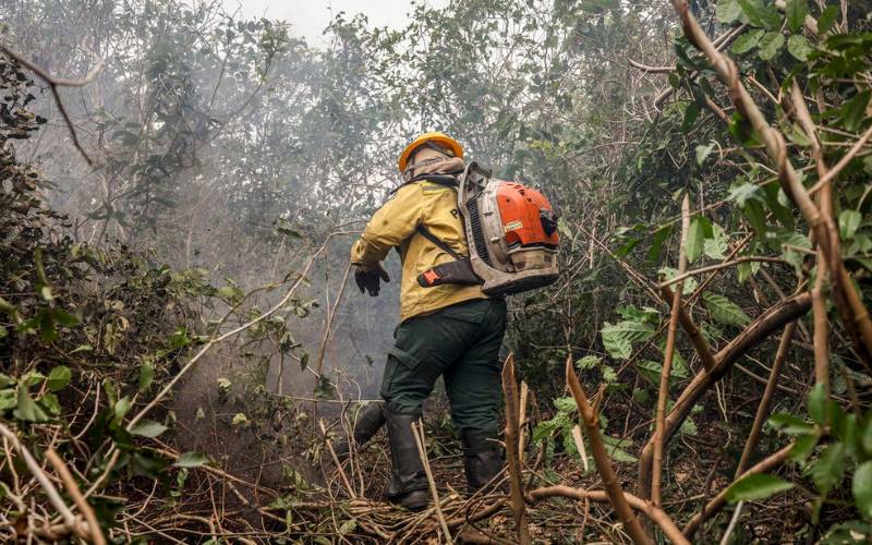 Incêndios no Amazonas resultam de ação humana, diz ministro