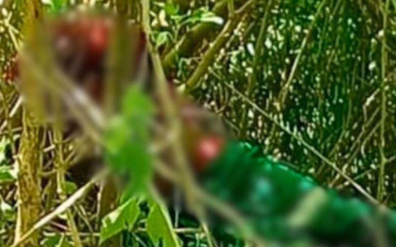 Funcionário da Comdep é encontrado morto em Corrêas