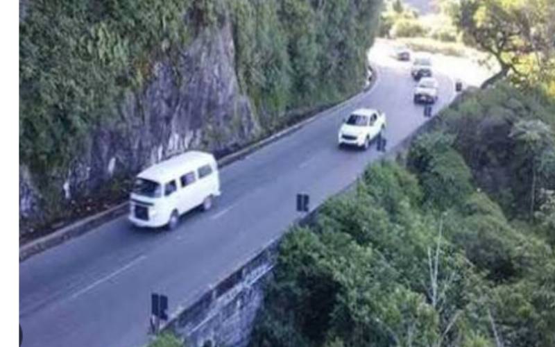  Queda de árvore nesta tarde interdita subida da serra 
