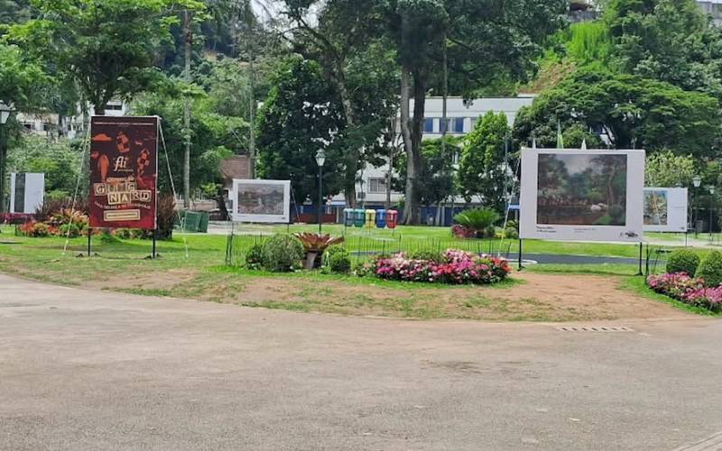 Flipetrópolis abre a exposição “Guignard  Uma Criança de Petrópolis” no Palácio de Cr