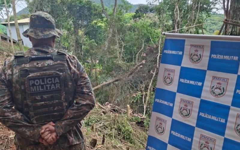 Área de 250 m² é desmatada ilegalmente em Itaipava