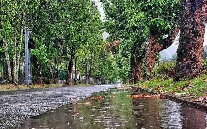 Defesa Civil de Petrópolis registra 03 ocorrências devido à chuva desta quarta (01)