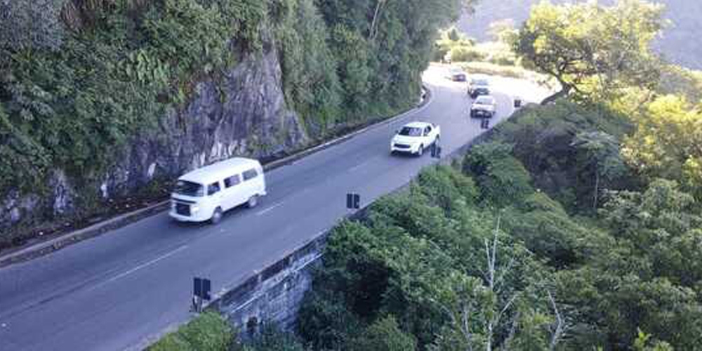 Queda de árvore interdita o km 87 na subida da serra de Petrópolis