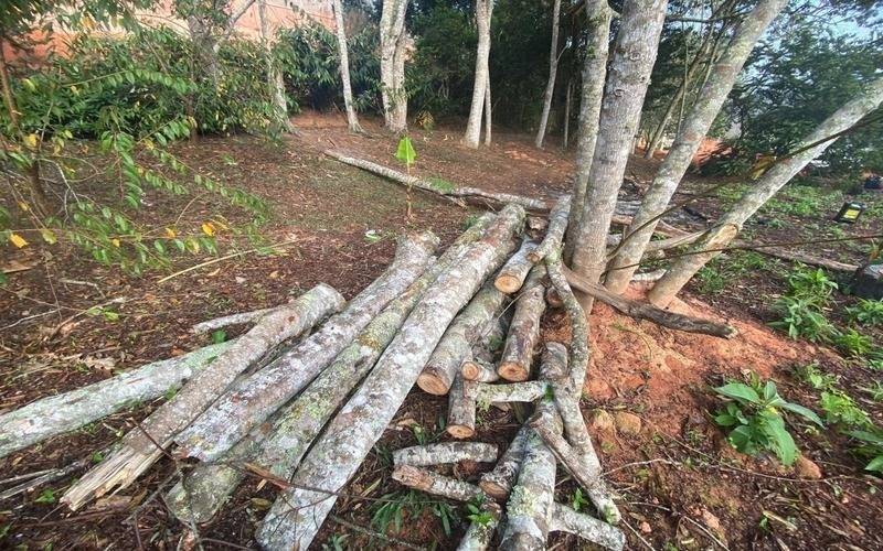 Petrópolis teve 14,4 mil hectares perdidos por queimadas em quase 40 anos, mostra MapB